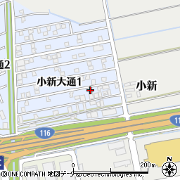 新潟県新潟市西区小新大通1丁目9-57周辺の地図