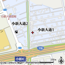 新潟県新潟市西区小新大通1丁目8-37周辺の地図