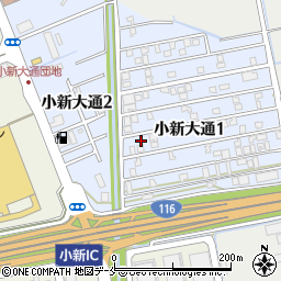 新潟県新潟市西区小新大通1丁目8-39周辺の地図