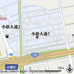 新潟県新潟市西区小新大通1丁目8-22周辺の地図