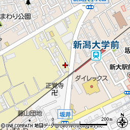 新潟県新潟市西区大学南1丁目31-11周辺の地図