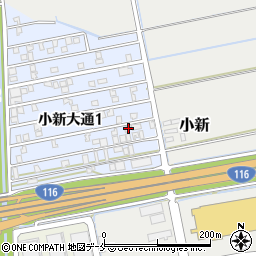 新潟県新潟市西区小新大通1丁目9-59周辺の地図