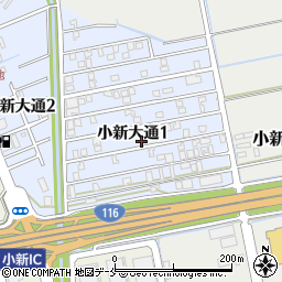 新潟県新潟市西区小新大通1丁目8-19周辺の地図