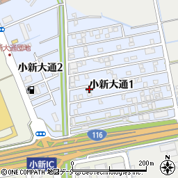 新潟県新潟市西区小新大通1丁目8-41周辺の地図