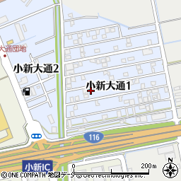 新潟県新潟市西区小新大通1丁目8-44周辺の地図