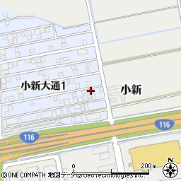 新潟県新潟市西区小新大通1丁目9-62周辺の地図