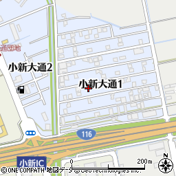 新潟県新潟市西区小新大通1丁目8-45周辺の地図