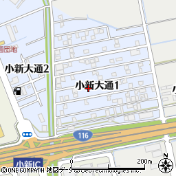 新潟県新潟市西区小新大通1丁目8-46周辺の地図