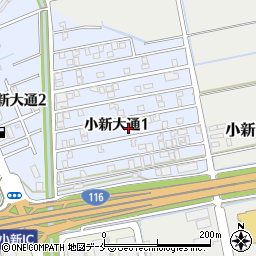 新潟県新潟市西区小新大通1丁目8周辺の地図