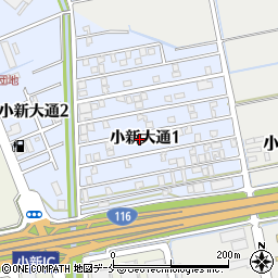 新潟県新潟市西区小新大通1丁目8-47周辺の地図