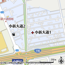 新潟県新潟市西区小新大通周辺の地図