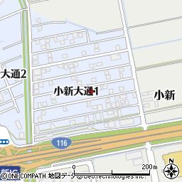 新潟県新潟市西区小新大通1丁目8-52周辺の地図