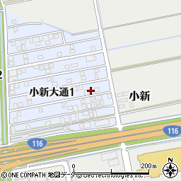 新潟県新潟市西区小新大通1丁目8-10周辺の地図