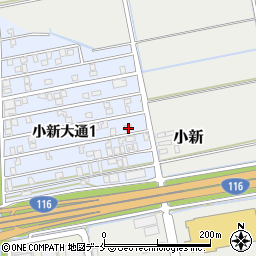 新潟県新潟市西区小新大通1丁目8-9周辺の地図