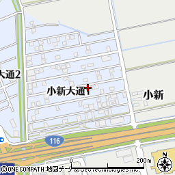 新潟県新潟市西区小新大通1丁目8-54周辺の地図