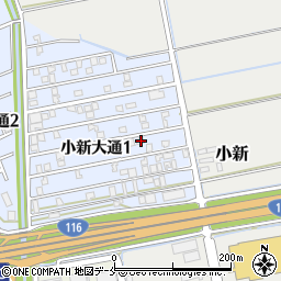 新潟県新潟市西区小新大通1丁目8-56周辺の地図