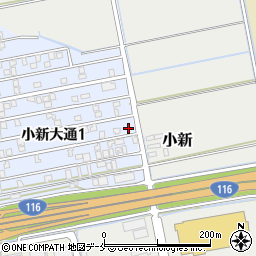 新潟県新潟市西区小新大通1丁目8-6周辺の地図