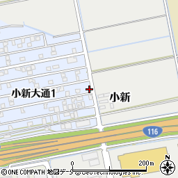 新潟県新潟市西区小新大通1丁目8-3周辺の地図