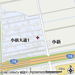 新潟県新潟市西区小新大通1丁目8-60周辺の地図