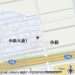 新潟県新潟市西区小新大通1丁目8-61周辺の地図