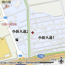 新潟県新潟市西区小新大通1丁目6-29周辺の地図