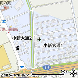 新潟県新潟市西区小新大通1丁目6-28周辺の地図