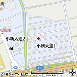 新潟県新潟市西区小新大通1丁目6-24周辺の地図