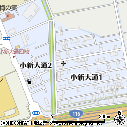 新潟県新潟市西区小新大通1丁目6-37周辺の地図