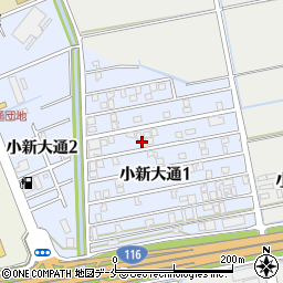 新潟県新潟市西区小新大通1丁目6-22周辺の地図
