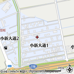 新潟県新潟市西区小新大通1丁目6-21周辺の地図