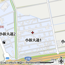 新潟県新潟市西区小新大通1丁目6-20周辺の地図