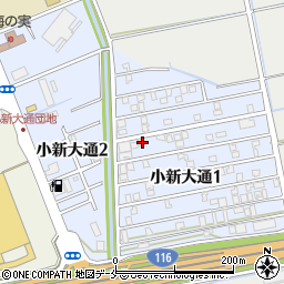 新潟県新潟市西区小新大通1丁目6-38周辺の地図