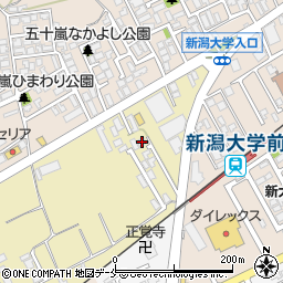 新潟県新潟市西区大学南1丁目31-3周辺の地図