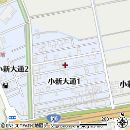 新潟県新潟市西区小新大通1丁目6-19周辺の地図