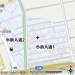 新潟県新潟市西区小新大通1丁目6-41周辺の地図