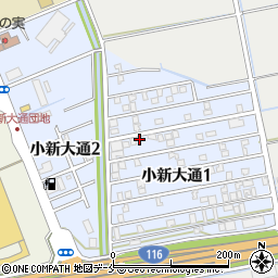 新潟県新潟市西区小新大通1丁目6-40周辺の地図