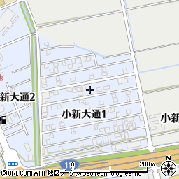 新潟県新潟市西区小新大通1丁目6周辺の地図