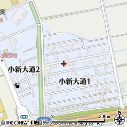 新潟県新潟市西区小新大通1丁目6-43周辺の地図