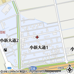 新潟県新潟市西区小新大通1丁目6-46周辺の地図