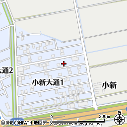 新潟県新潟市西区小新大通1丁目6-13周辺の地図