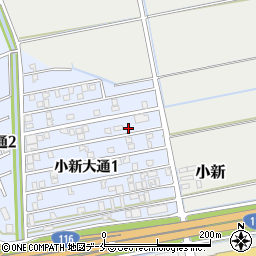 新潟県新潟市西区小新大通1丁目6-11周辺の地図