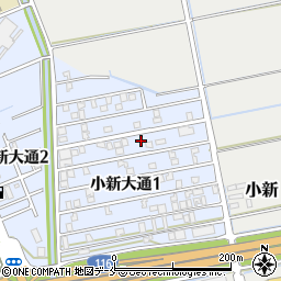 新潟県新潟市西区小新大通1丁目6-50周辺の地図