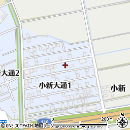 新潟県新潟市西区小新大通1丁目6-51周辺の地図
