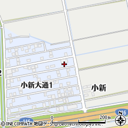 新潟県新潟市西区小新大通1丁目6-8周辺の地図