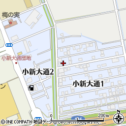 新潟県新潟市西区小新大通1丁目5-28周辺の地図