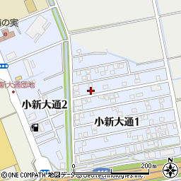 新潟県新潟市西区小新大通1丁目5-25周辺の地図