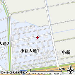 新潟県新潟市西区小新大通1丁目6-52周辺の地図