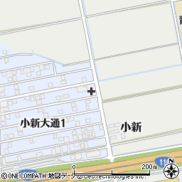 新潟県新潟市西区小新大通1丁目6-6周辺の地図