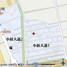 新潟県新潟市西区小新大通1丁目5-24周辺の地図