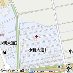 新潟県新潟市西区小新大通1丁目5-19周辺の地図